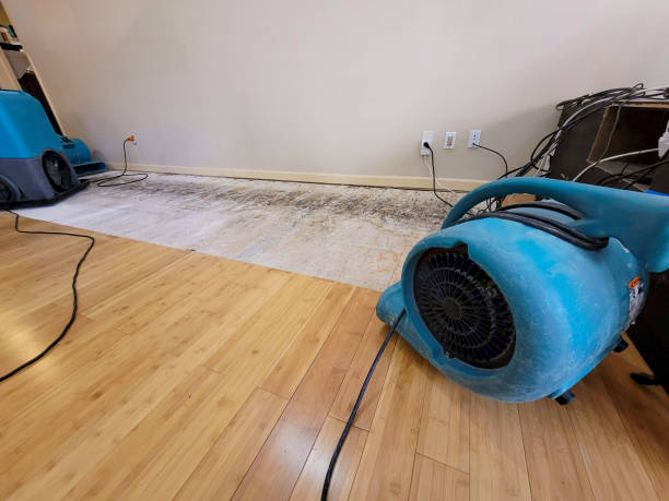 Professional Ceiling Water Damage Repair technician working in Millbrook, AL